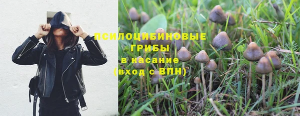 марки nbome Новозыбков